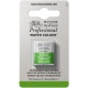 WN  PERMANENT SAP GREEN